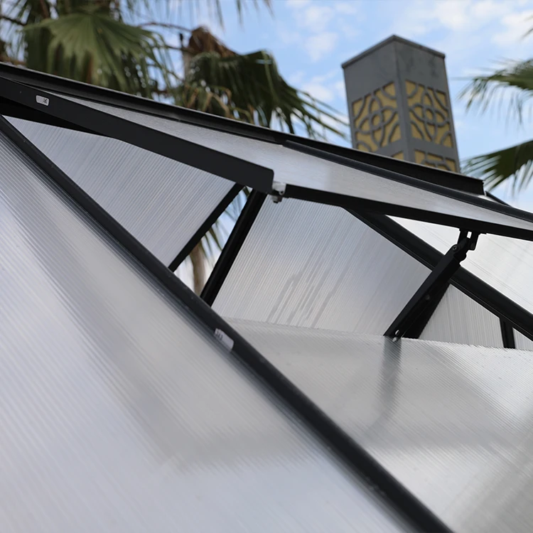 Hot Sale Polycarbonate Green Houses Aluminum Frame House Other Greenhouses Garden Greenhouse