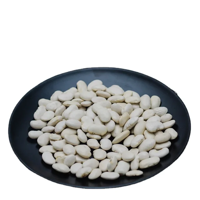 
Factory directly supply white beans for Canned white beans pastel large long shape white kidney beans 
