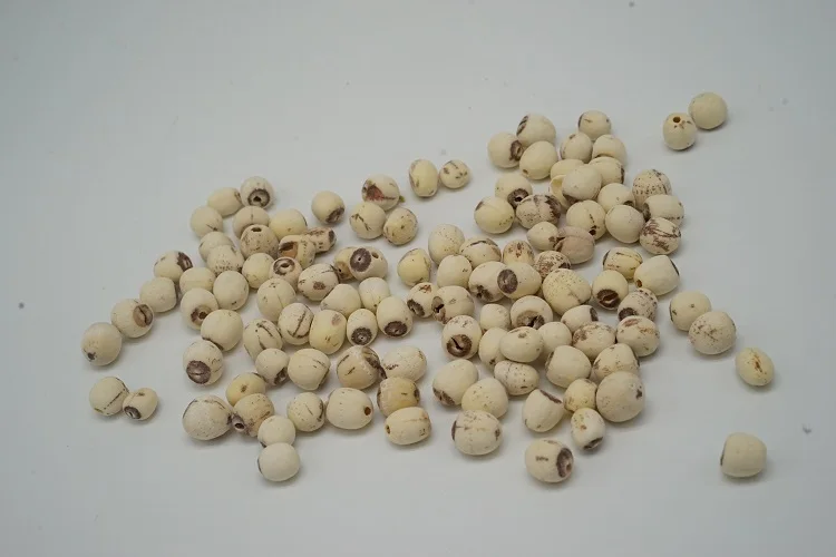 
Time Sun Golden grade Hot Sale New bulbus fritillariae unibracteatae natural Fritillaria cirrhosa dried lotus seed 