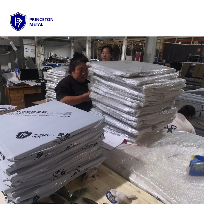 Princeton Metal Factory Supply Aluminum Panel for Roof and Wall for Building