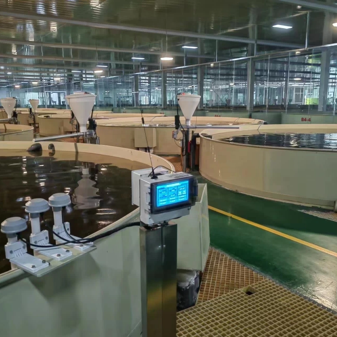 Профессиональный производитель Ras Systems оборудование для аквакультуры в контейнере креветочного