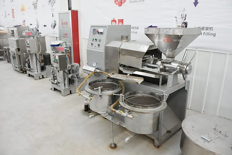 300-500Kg/H Safflower Oil Press Niger Grape Seed Oil Extraction Machine