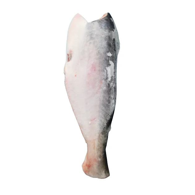 FROZEN PANGASIUS/ BASA FISH WHOLE FISH H&G (PANGASIUS HYPOPHTHALMUS)