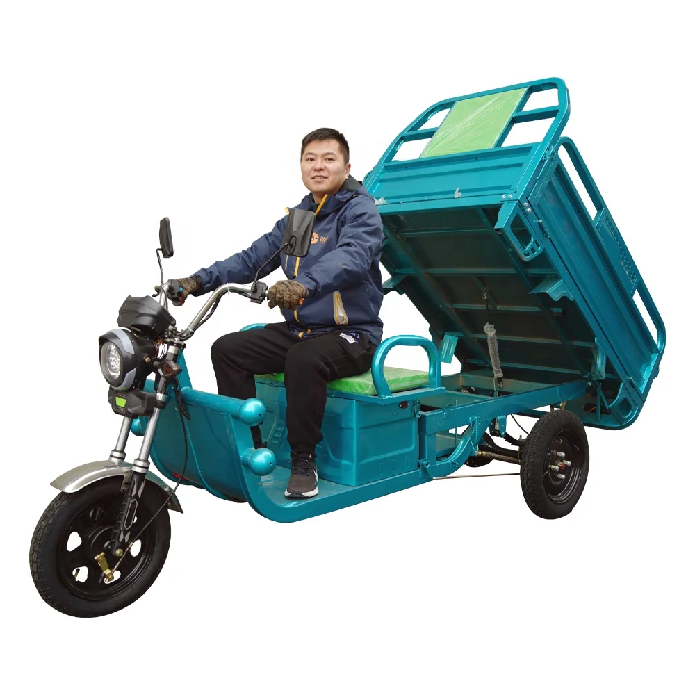 Factory 1000W Electric Tricycle Trike 3 Wheel Mobility E Trolley 3 Wheel Truck For Cargo Made IN China