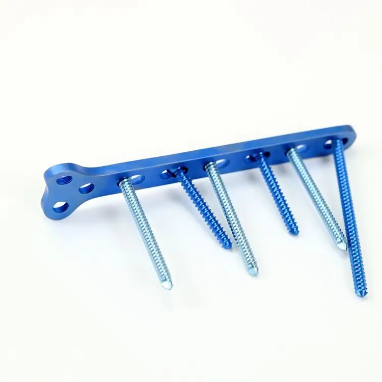 Low price veterinary plate orthopedic implants AO T type plate for animal