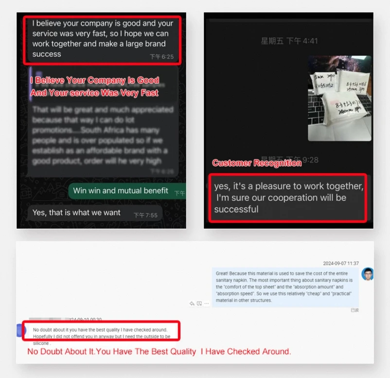 Factory hot sell mint chip day use disposable sanitary pads for women daytime super absorbent lady pads manufacturer in china