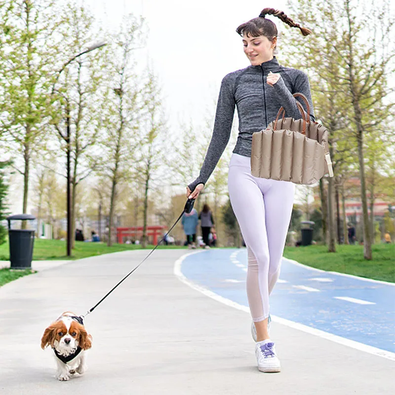 Multifunctional Custom Luxury Pet Transport Carrier Sling Tote Travel Dog Carrier Bag for Small Dog