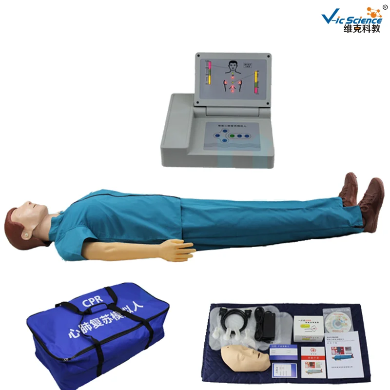 Vic Science взрослая простая модель для тренировки при первой помощи на половину тела