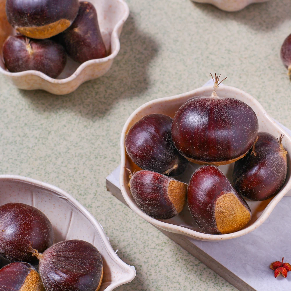 Новый свежий каштан yanshan hebei хорошего