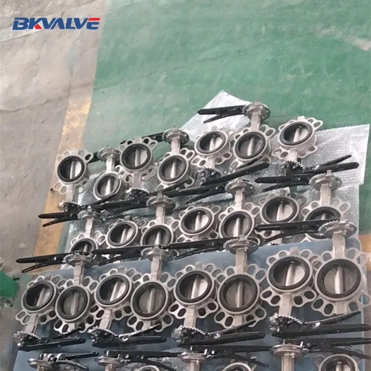 dn80  ss lever  valve.jpg