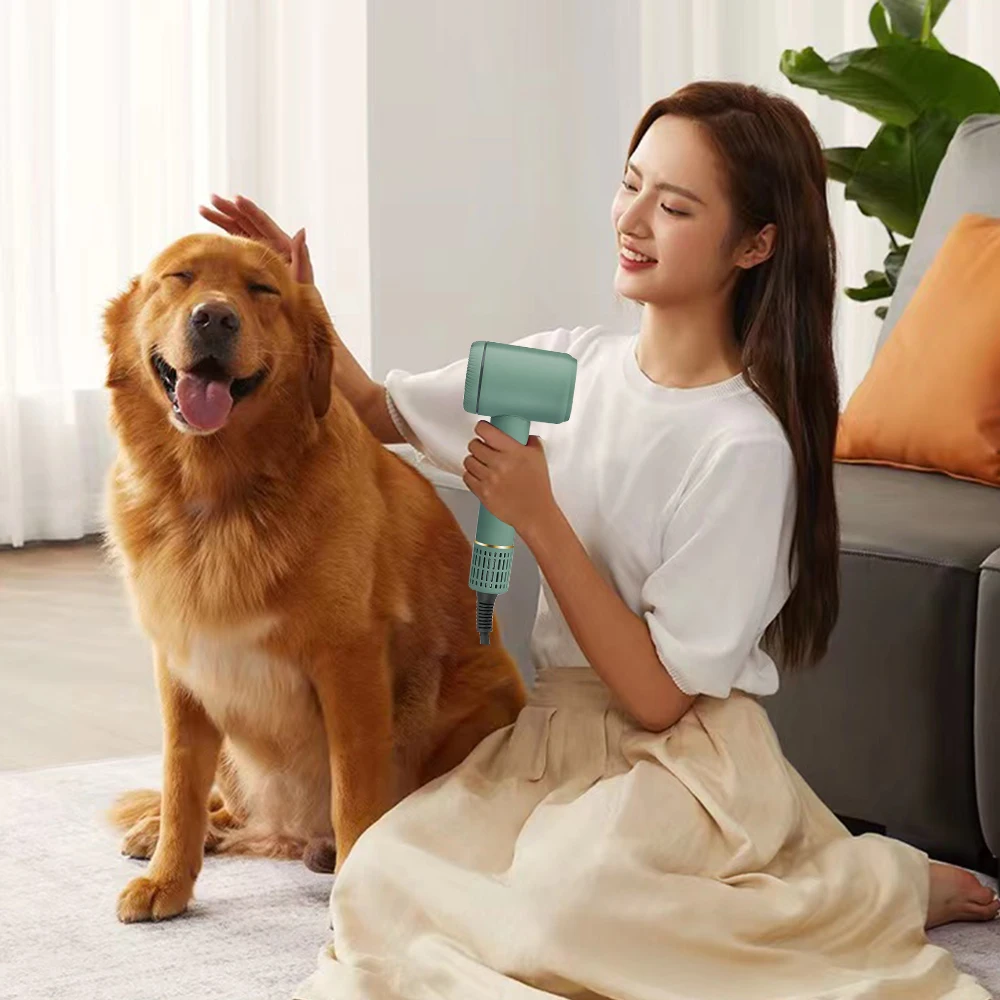 Pet Hair Dryer Vacuum Cleaner High Speed Hair Dryer Salon Professional High Power Ionic Blow Dryer For Home Garage And Travel