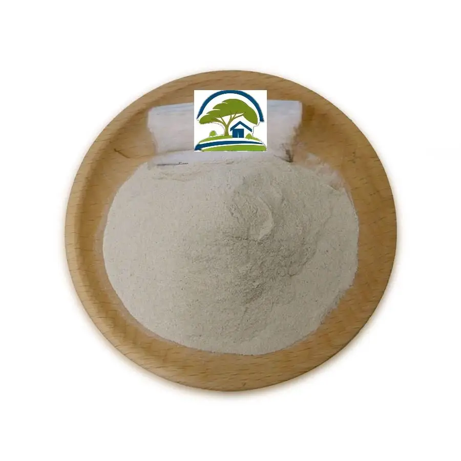 Supply OEM Lignosus rhinocerus powder Tiger Milk Mushroom powder&capsules