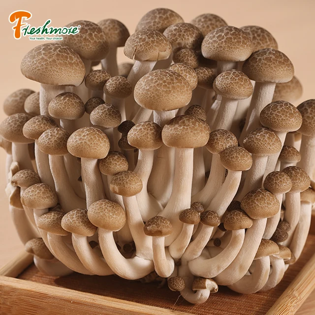 Купить свежие грибы онлайн готовка свежие грибы рядом со мной