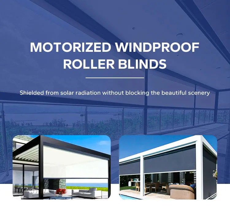 out door blind motor