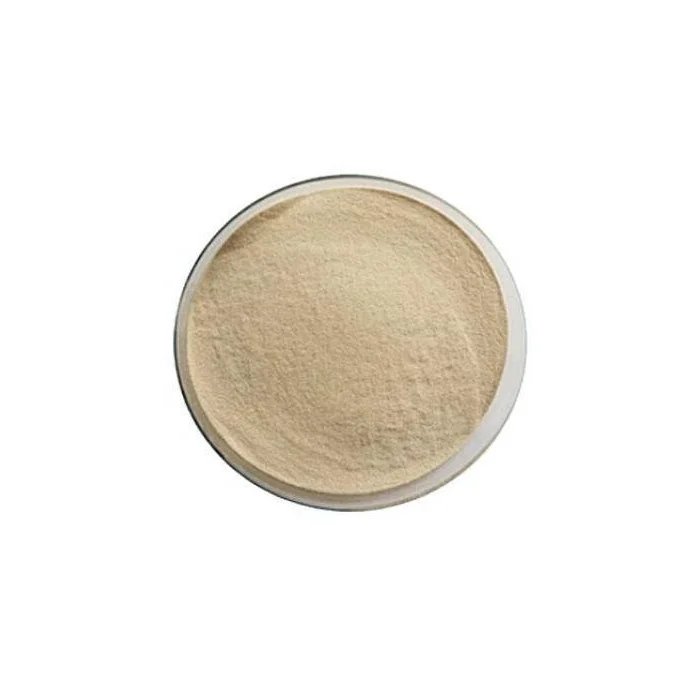 Factory supply food additive alpha amylase enzyme High temperature alpha amylase 1KG/10KG/20KG/25KG for Baking with free sample