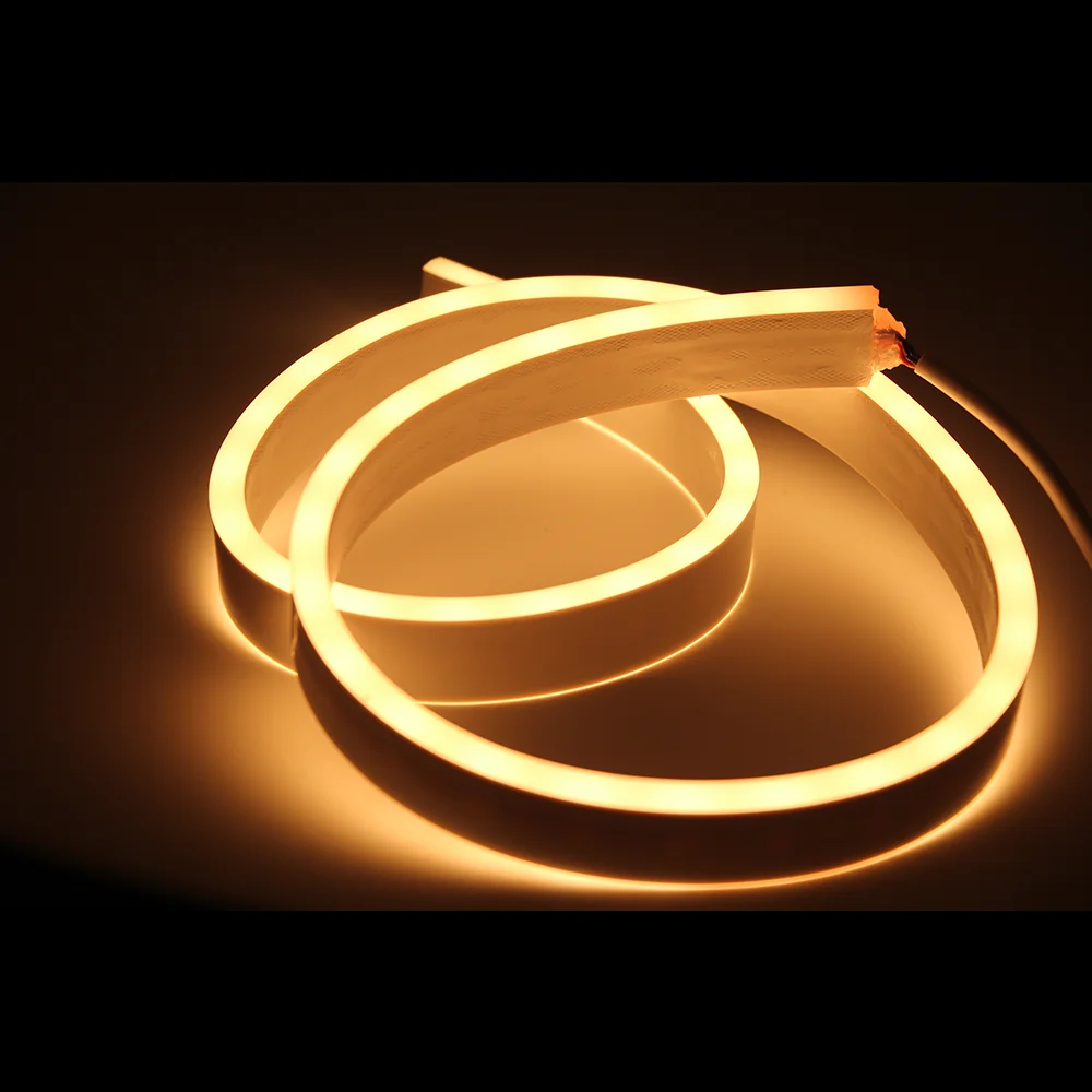 Dual Side Emitting 12v 24v IP65 2835 5050 RGB Custom Car Pool Decoration Flexible Pure Silicone 1cm cut 10mm Neon Strip LED