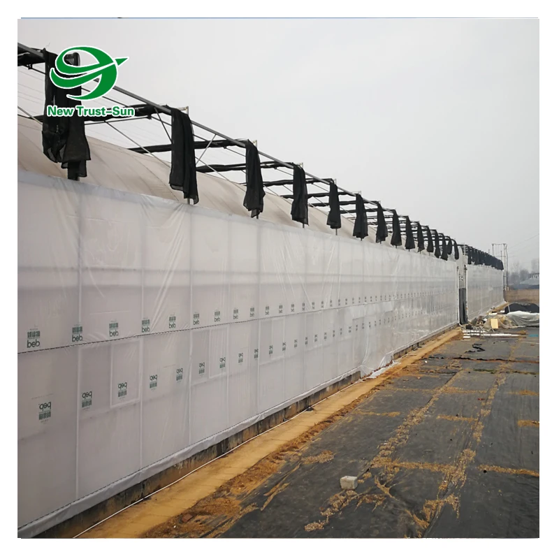 
Hydroponic System Garden Tunnel Multi-span plastic Film Greenhouse 
