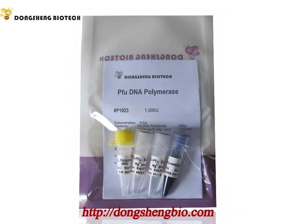 ПФУ ДНК-полимераза, высокоточная ПЦР