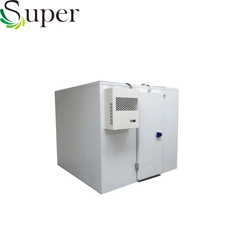 
Used Blast Freezer Fish Meat Chicken Cold Room for Sale 