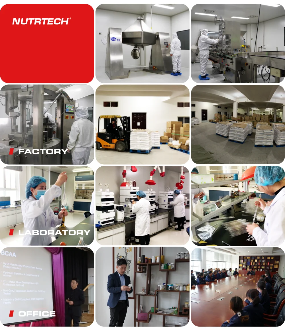 Lysine For Poultry High Purity Powder Lisina Clorhidrato L-Lysine Hydrochloride With Factory Price