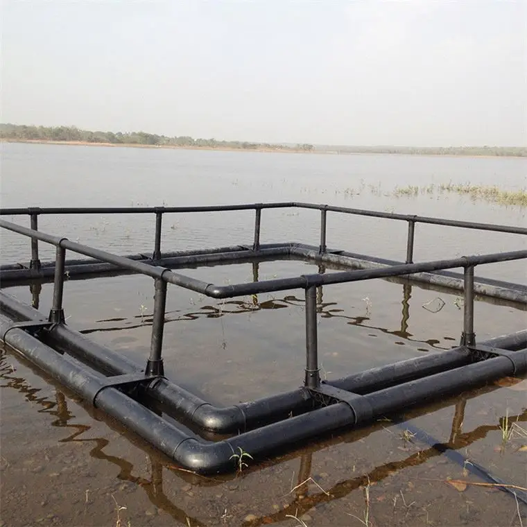 Fish Farming Cage Net for Rohu Fish
