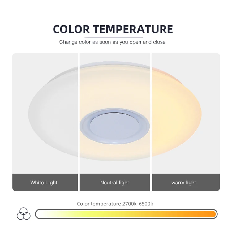 Modern Home Lighting Living Room Surface Mounted Round 24w 36w Acrylic Smart Music Led Ceiling Lamp