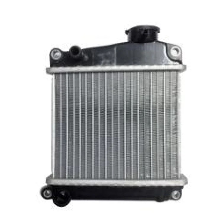 MOTORCYCLE  RADIATOR ASSY  LEAD110