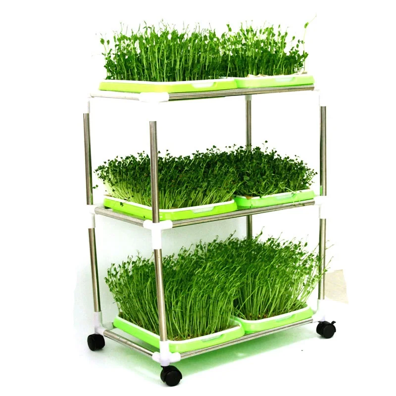 Hot sale Skyplant plants growing nursery seeding fodder trays for hydroponics