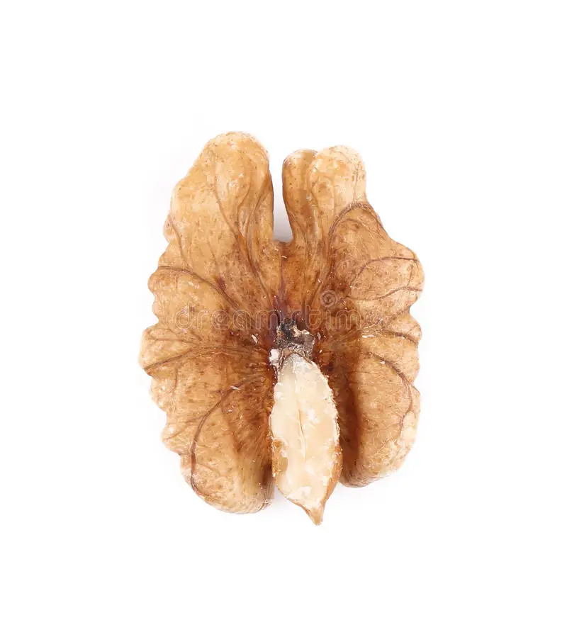 Walnuts kernels for Food and snacks xinjiang walnuts with high nutrition on cheap price