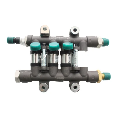 Natural Gas Engine Gas Injection Parts D4400-1113900B Common Rail Injection Valve Assembly/Nozzle Accessories