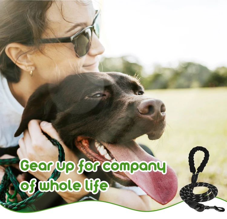 DogLeash_DetailPage_03_01