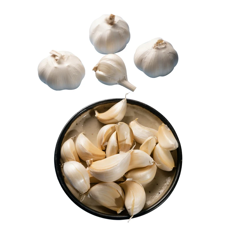 China wholesale elephant ajo garlic price fresh pure white garlic exporters European standard