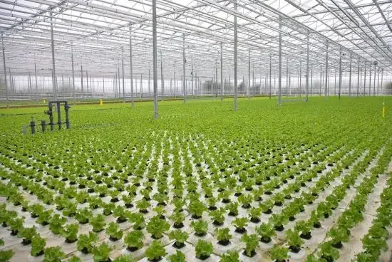 Smart low cost greenhouse vertical tower garden hydroponic grow systems