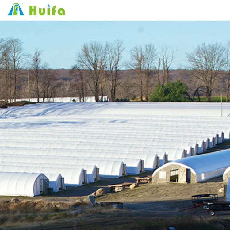 Chinese Economic Tunnel Pe Film Greenhouse For Mushroom Tomato With Hydroponic Cooling System