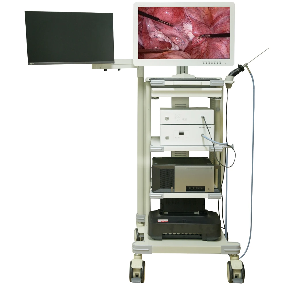 
21Fr x 231mm urological surgical instruments flexible cystoscope endoscope 