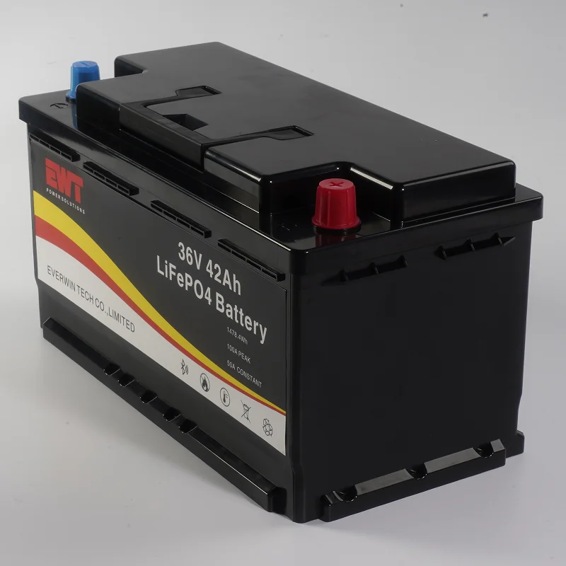 Dustproof and Waterproof 36V 42Ah Lithium LifePo4 Battery Pack Supply RV Power Equipment