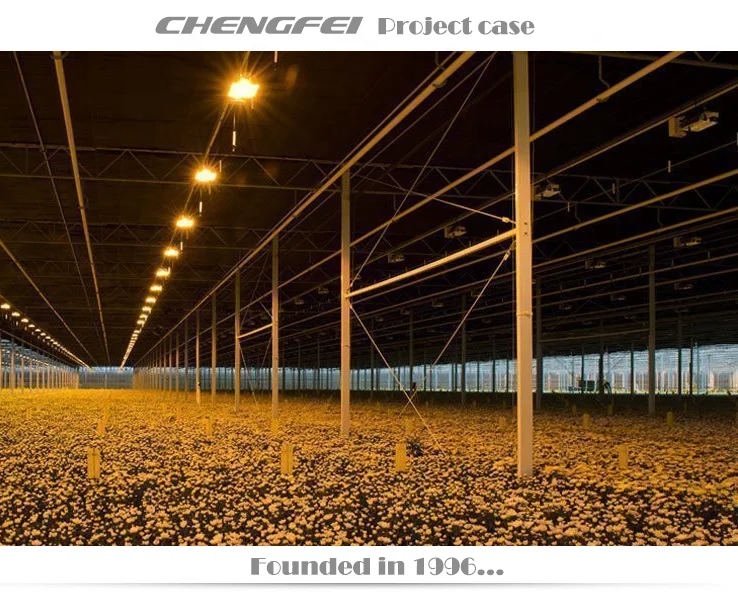 Plant Cultivation Commercial  Blackout Light Dep Multi-span Venlo hemp Blackout Greenhouse For Plants Culti