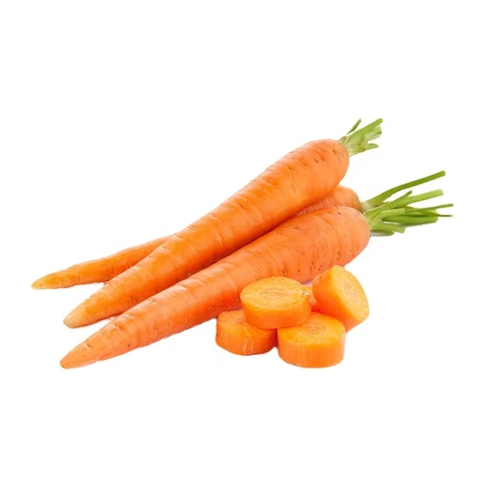 New crop fresh carrot export Maldives Dubai China fresh wholesales carrots red