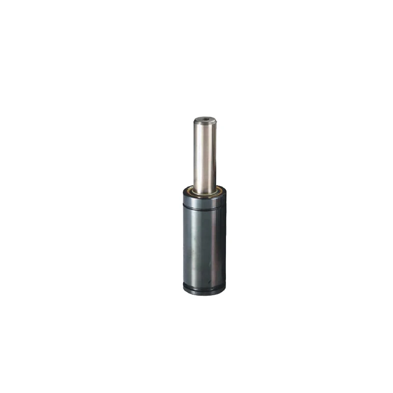 Auto Mold with High Durability Nitrogen Spring Plastic and Steel Injection Mould for Industrial Tooling and Parts
