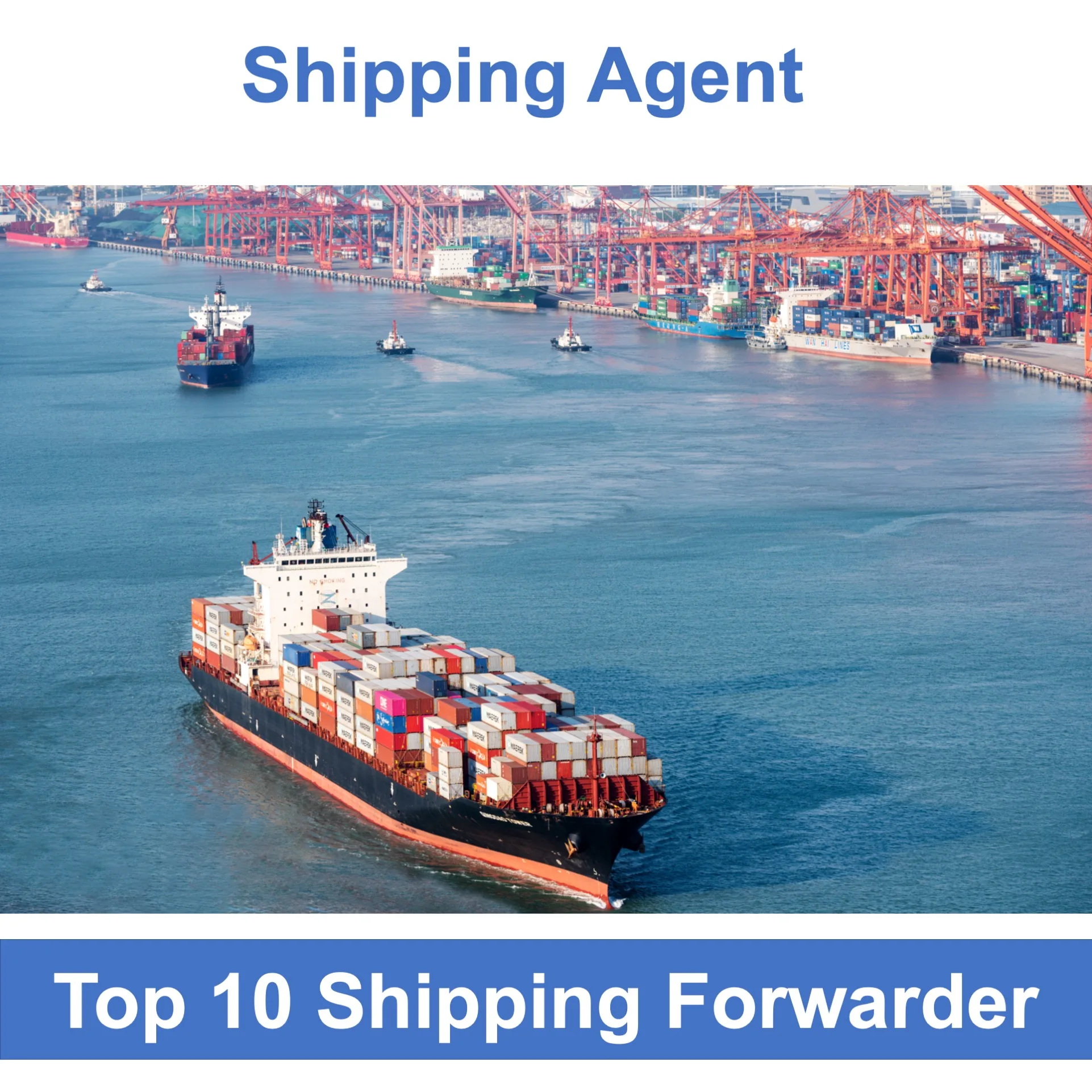 Ddp Freight Forwarder From China To Saudi Arabia India Usa Pakistan South Africa Iraq Uae Dubai Egypt Kuwait Shipping Agent