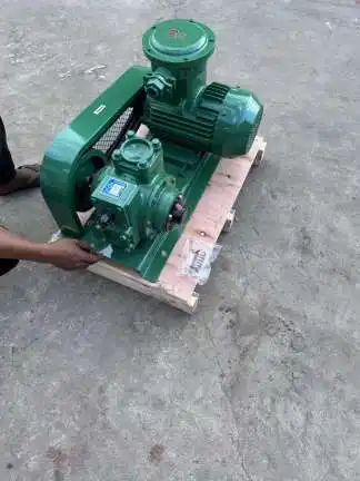 YB100 rotary vane pump with motor V-belt Driven fuel pump with motor gasoline transfer pump