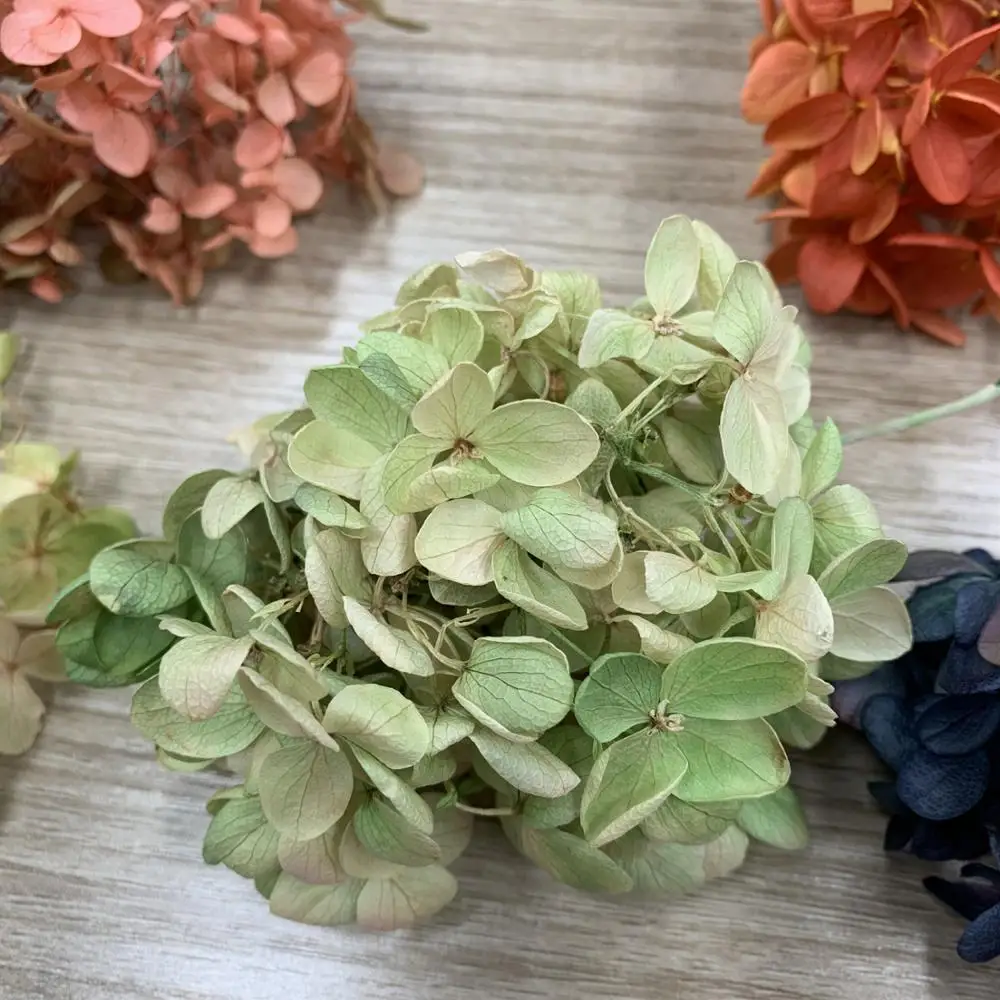 Preserved hydrangea  small leaf real touch hydrangea dried hydrangeas for flower DIY