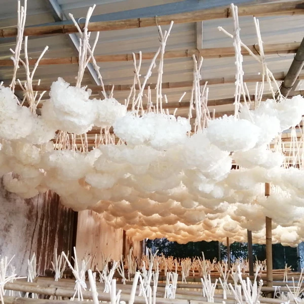 Оптовая продажа с фабрики 2023, Лидер продаж, сохраненная Гортензия 15 см 20 см, большая Гортензия с листьями для украшения дома и свадьбы