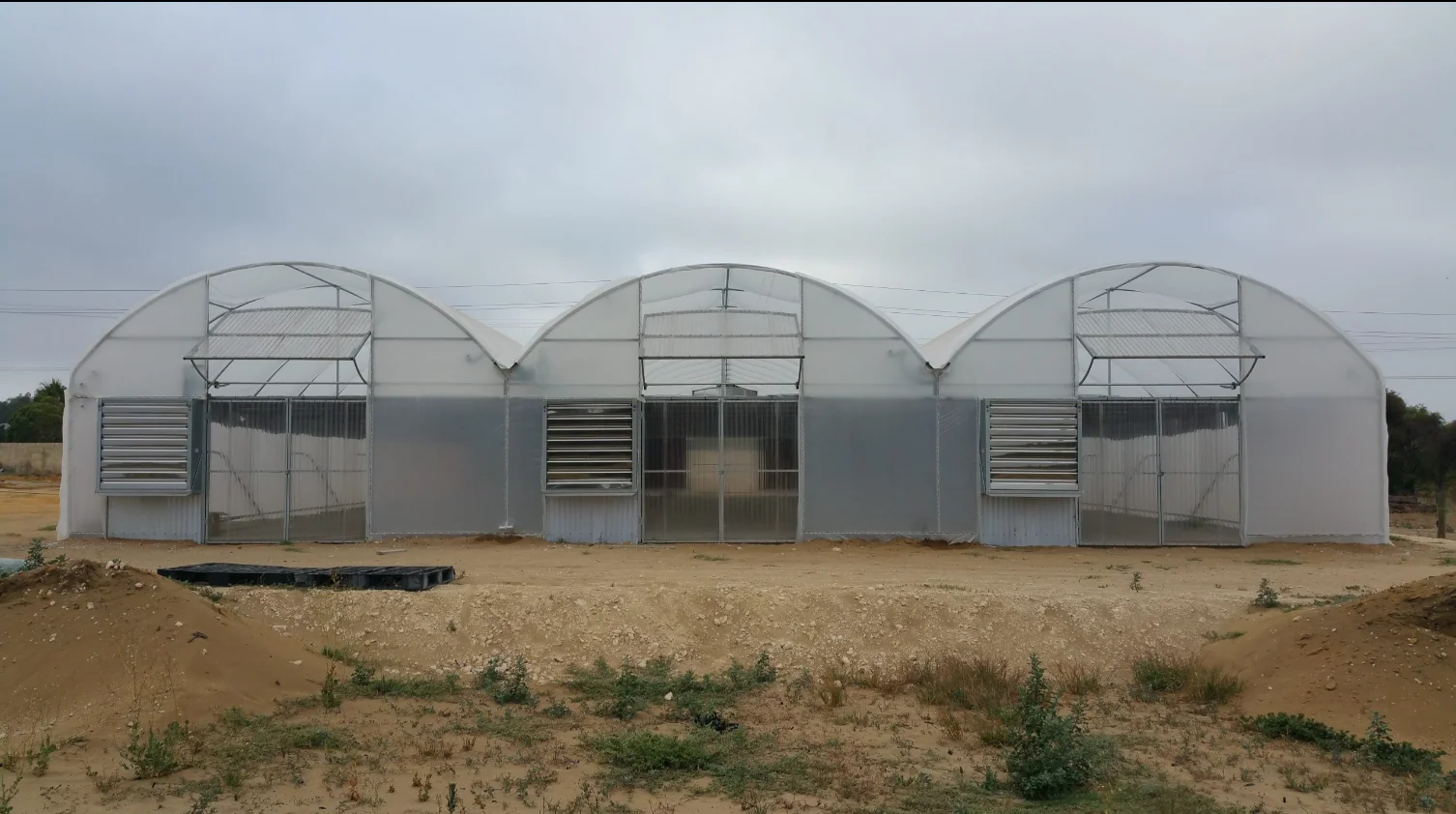 Agriculture Greenhouse Frame Multispan Vegetables Growing Tunnel Multi Span Film Greenhouse