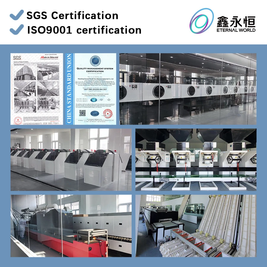 ETERNAL WORLD Household Minerals Mineralization Reverse Osmosis Water Filter for Drinking Water treatment