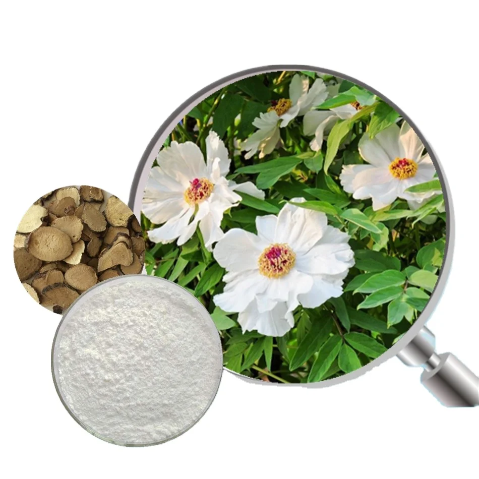 Чистый белый Экстракт Пиона порошок 50% paeoniflorin экстракт корня пиона для выпадения волос