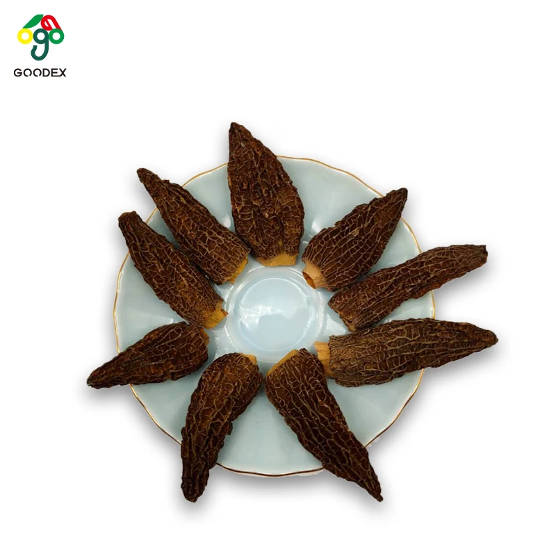 Cultivated Dried Morchella Conica , Morchella Mushroom
