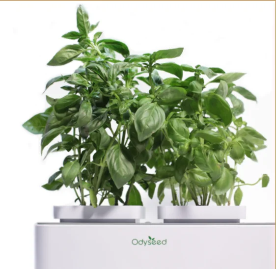 
indoor table plants grow lights for indoor plants organic hydroponic growing systems mini smart home garden LED growing light 