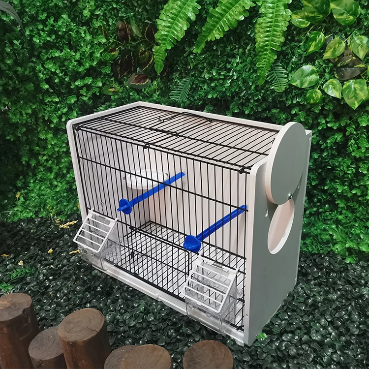 buy 5 get 1 free New Product  perspex handmade  wall mounted acrylic bird cage parrot display cages parrots plastic bird cages