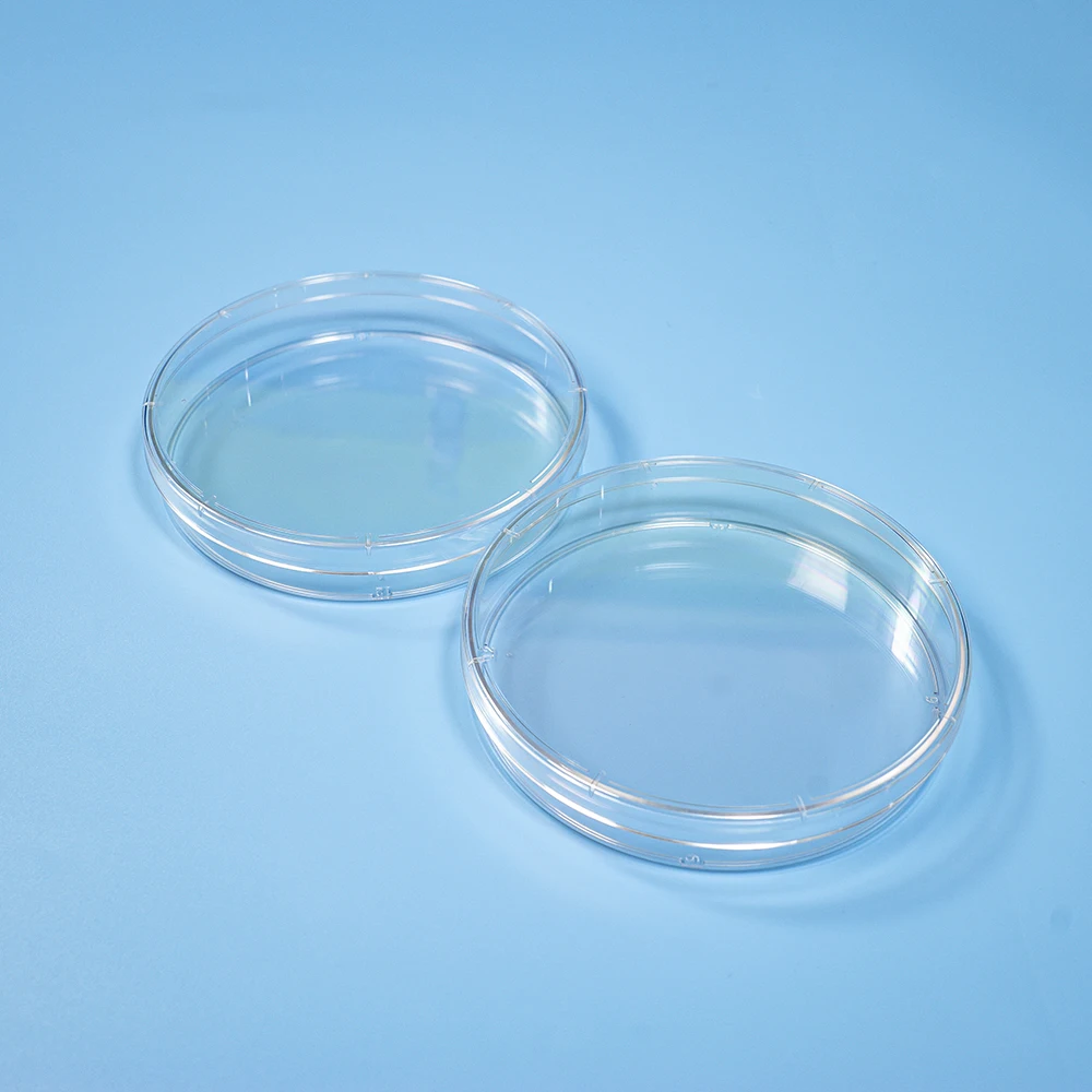 Lab Supplies Large PS Best 150mm Culture Petri Dishes Universe